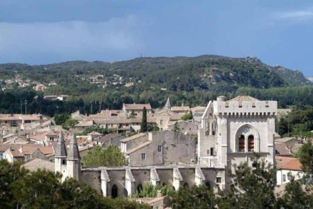 La Cigale - Vieux Village - Charmante Maisonnette Climatisee Avec Jardin Villeneuve-lès-Avignon Exterior photo